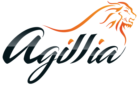 Agillia - Agence digitale & E-commerce efficiente Lyon - Paris